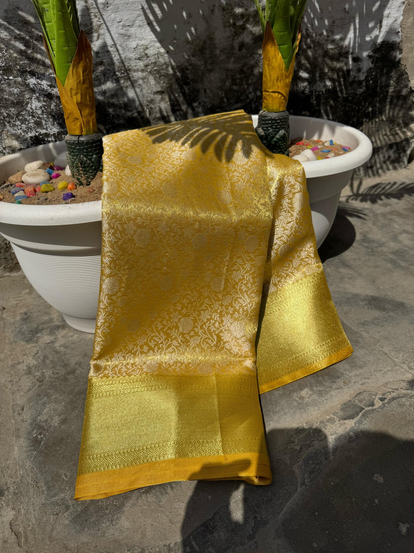 Gold Banarasi tissue silk sarees
