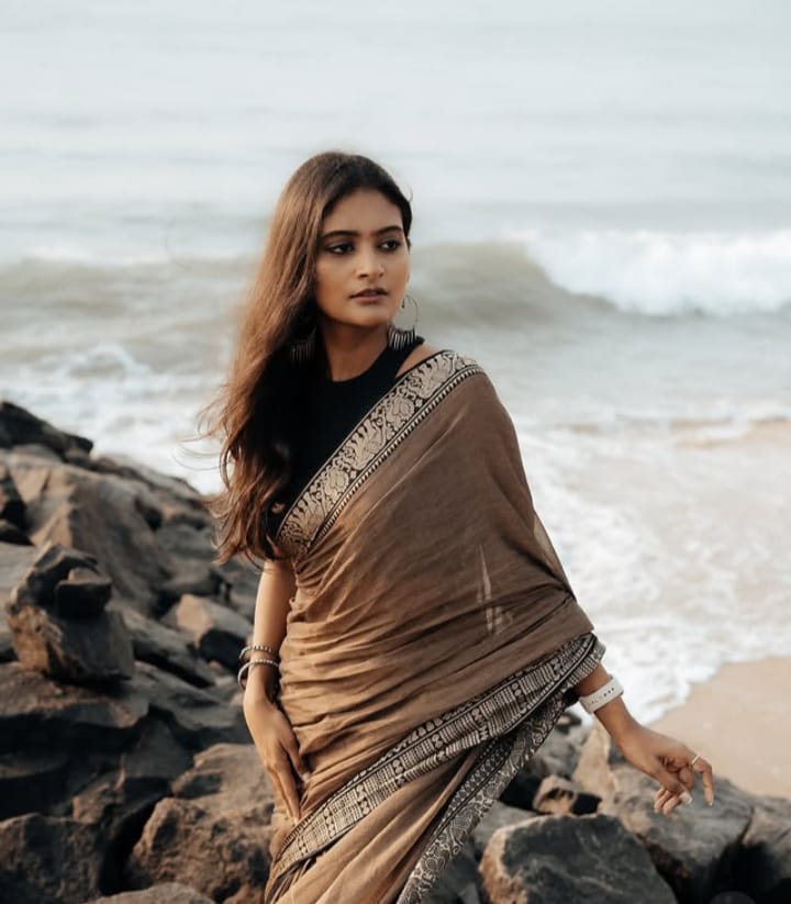 Brown Narayanpet Cotton sarees with elephant border