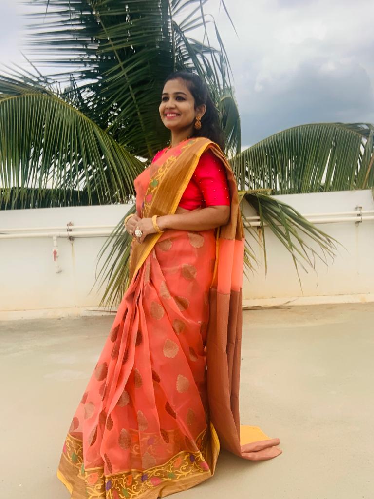 Banarasi organza silk sarees