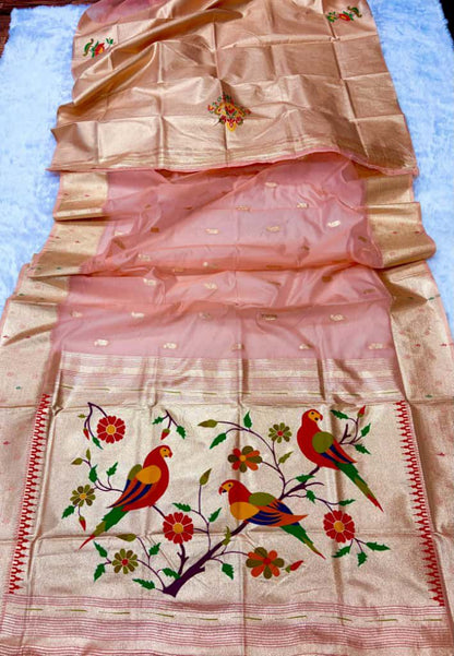 Organza tissue silk sarees