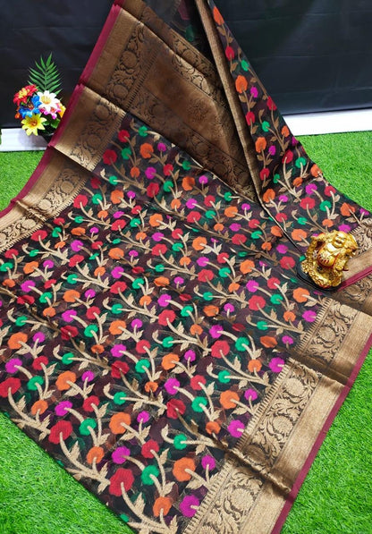Banarasi organza silk sarees