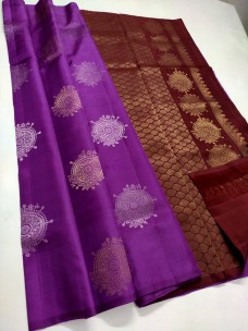 Pure traditional kanchipuram borderless soft silk sarees