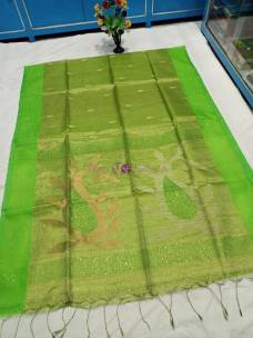 Apple green handloom tissue muslin sequence sarees