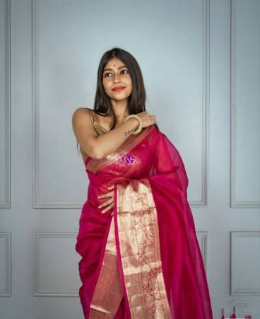 Bagicha; Banarasi Star Grey Blended Kora Organza Silk Saree – Kashisilks